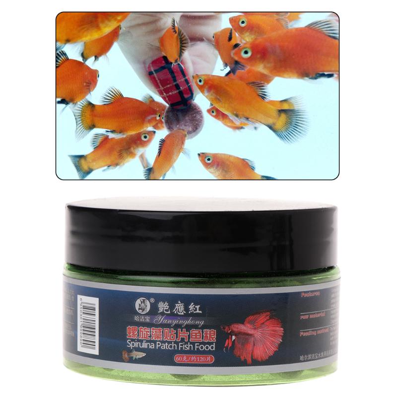 algae tablets for fish