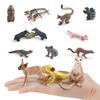 Realistic Plastic Forest Animal Model Collection Featuring Cute Static Mice Frogs Crocodiles Koalas And Skunks