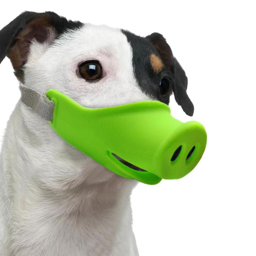 little dog muzzle