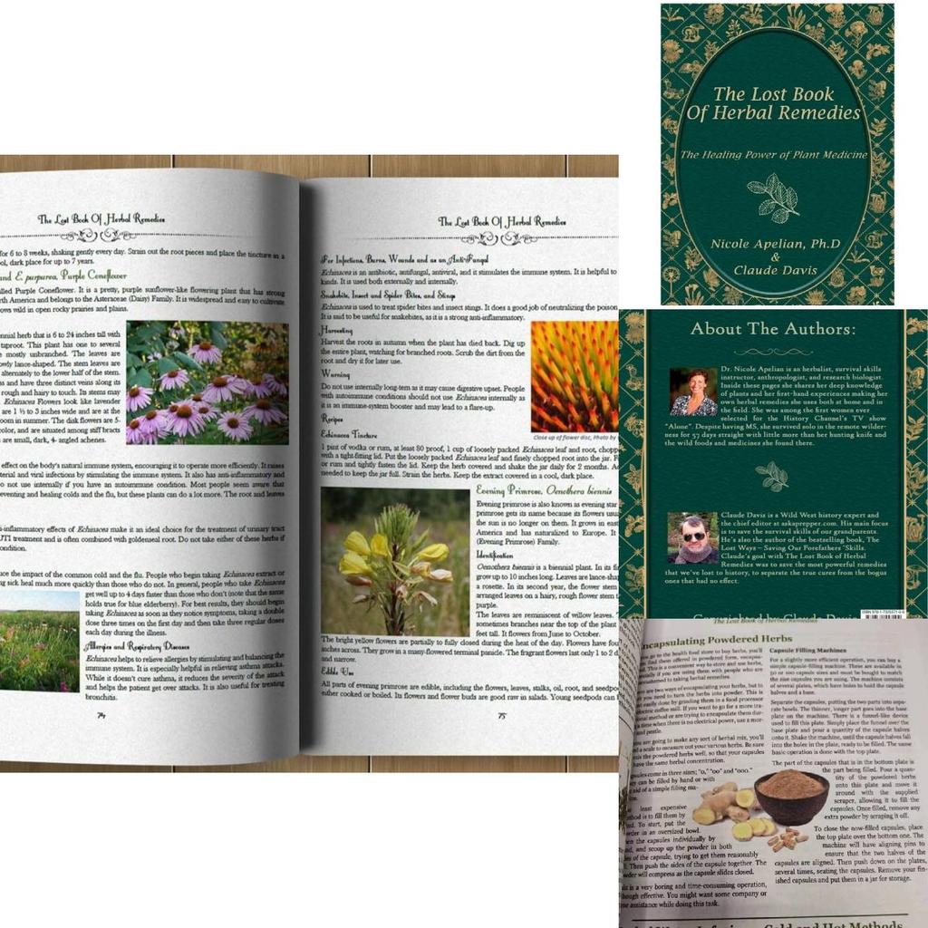 Ztracená kniha bylinných léků Komplexní průvodce přírodními léčebnými řešeními