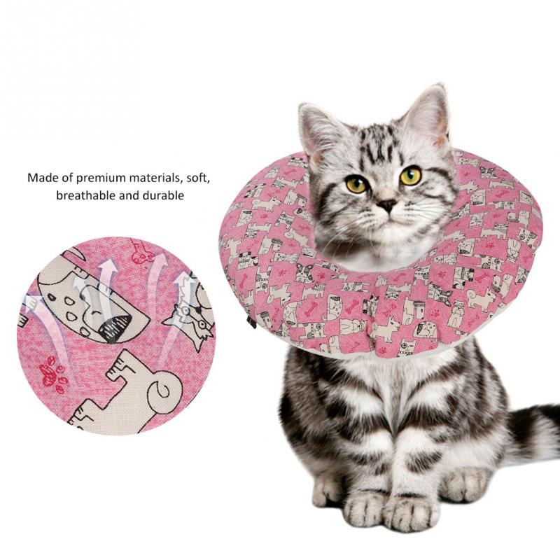 scratch resistant cat collar