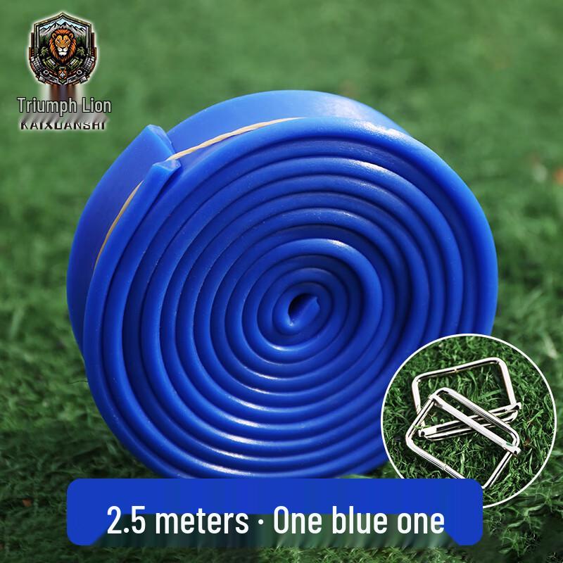 Triumphant Lion Resistance Bands