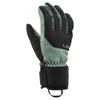 Leki Alpino Gloves Bird Goretex