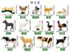 TOYMANY 50-Piece Animal Figure Set, Wildlife Figures, Farm Animal Figures, Horse Figures, Mini Fence Toy, Realistic Animal Models, Popular Animal