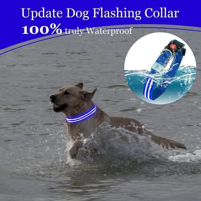 Collier pour chien - Brighter - Étanche - Rechargeable - Réglable - Taille M (35-40cm)