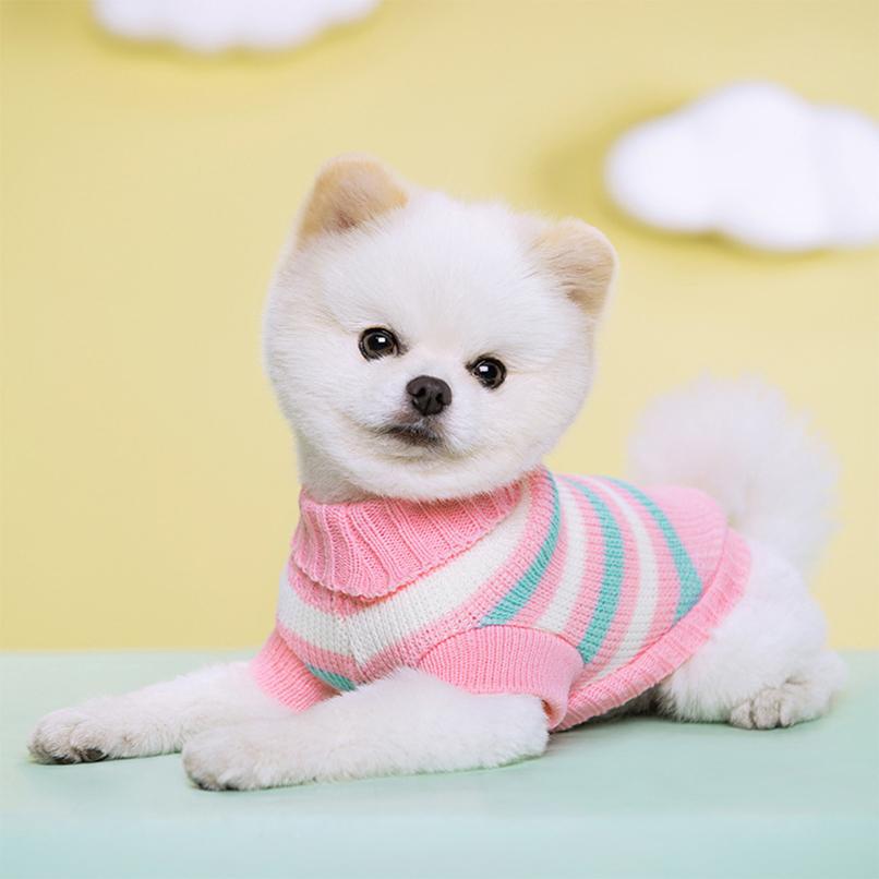 Valpestrikkegenser for små mellomstore hunder Klær Pullover Hund Kattejakke Chihuahua Yorkies Jakke Fransk Bulldog Kjæledyrkostymer