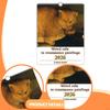 Wall Calendar Planner Funny Ornaments Decor Monthly Strange Cat for Office Organizing