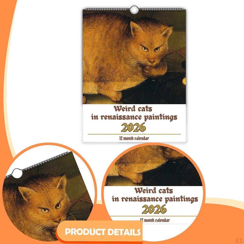 Wall Calendar Planner Funny Ornaments Decor Monthly Strange Cat for Office Organizing