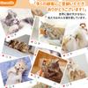 Luxury Gift ULcomlife Natural Matatabi Cat 12 Pieces Matatabi Feather Hemp Rope No No Healthy Chew Teeth Obesity Relief [Matatabi Set] Toys, Tree,