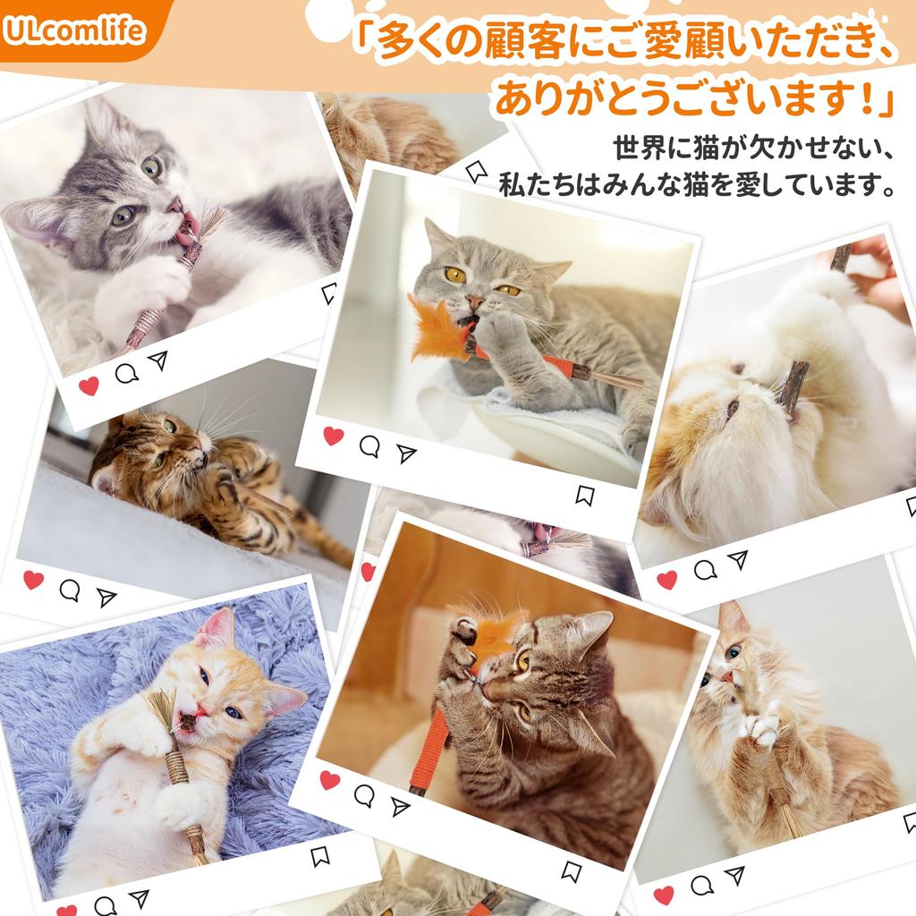 Luxury Gift ULcomlife Natural Matatabi Cat 12 Pieces Matatabi Feather Hemp Rope No No Healthy Chew Teeth Obesity Relief [Matatabi Set] Toys, Tree,