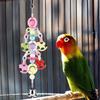 Colorful Beads Bell Bird Cage Stand Parrot Hanging Toy Pet Birds Bite Chewing Decoration Toys