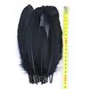 50Pcs Natural Black Goose Ostrich Feathers For Jewelry Earrings Making Diy Dream Catcher Decoration Crafts Plume Accessories