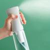 200ml Spray Bottle Separate Bottle Continuous High-pressure Alcohol Disinfection Makeup Water Supplement Fine Mist Small Spray B