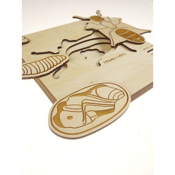 Пазл «Стукапука Монтессори с муравьями» — фото 2