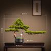 Simulation green plant  welcome pine bonsai lucky ornament light luxury living room entrance cabinet hotel zen soft decoration
