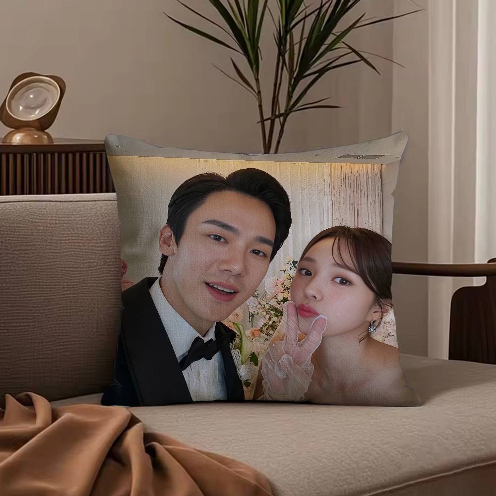 W-When the P-Phone R-Rings TV Pillow Case Anti-dustmite Pillowcase Invisible zipper silky short plush Sofa cushion cover