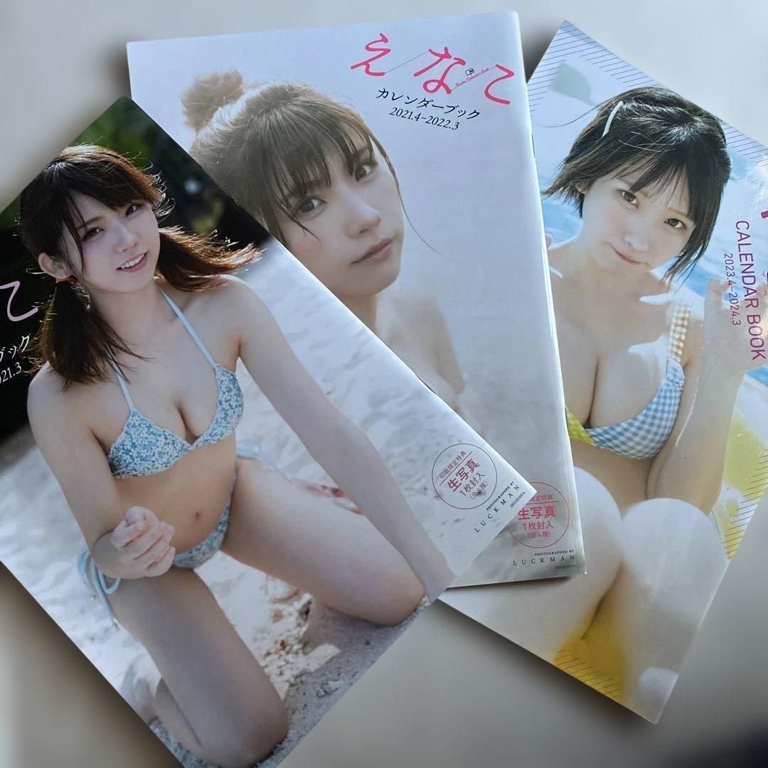 Enako calendar book set of 3 books