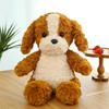Cute Curly Puppy Plush Toy Claw Machine Doll Home Furnishing Pillow Ring Exchange Gift Car Pillow