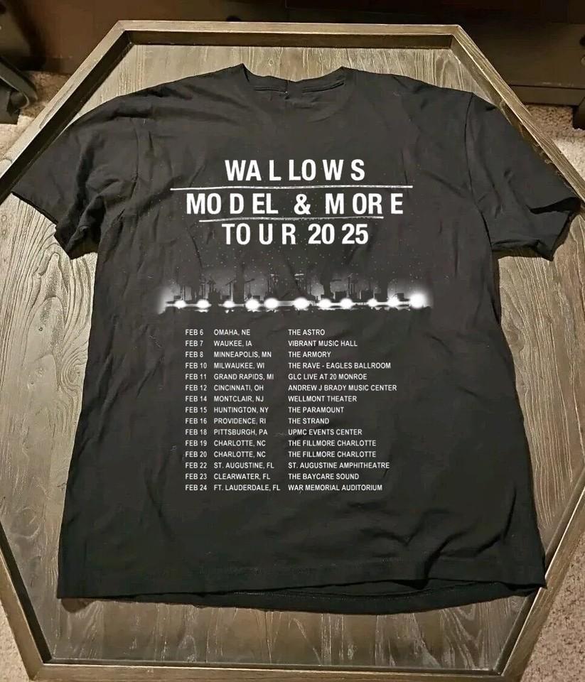 Wallows Band Tour 2025 Gift For Fans S to 5XL Black Unisex Tshirt K531 XXXXL