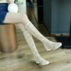 Women's Low-heeled Net Boots Spring and Summer New Thick-heeled Net Boots Sexy Versatile Large-size Guy Cool Boots