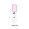 Portable USB Nano Mist Facial Sprayer