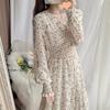 Floral Print Chiffon Dress Long Dress Women Spring New Korean Style Fairy Dress Ruffled Maxi Skirt