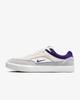 FV6064-006 Nike SB Malor Platinum Tint Wolf Grey Summit White Court (Men's)