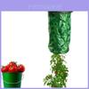 Strapazierfähige Hänge-Gartentasche aus Polyester für Tomaten und Erdbeeren Heim-Gartenbau