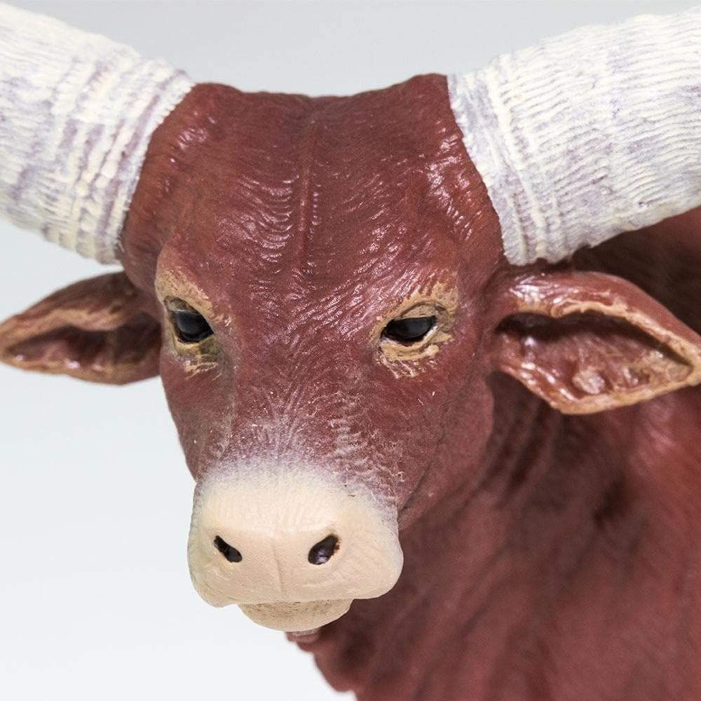 Safari Ankole Watusi Male Cow Figure 100202