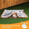 Guinea Pig Blanket, 2 Pack Warm Soft Coral Fleece Small Animal Blankets Washable Pet Cage Liners Sleep Mat Pad Cover for Rabbit Hamster Dog Cat