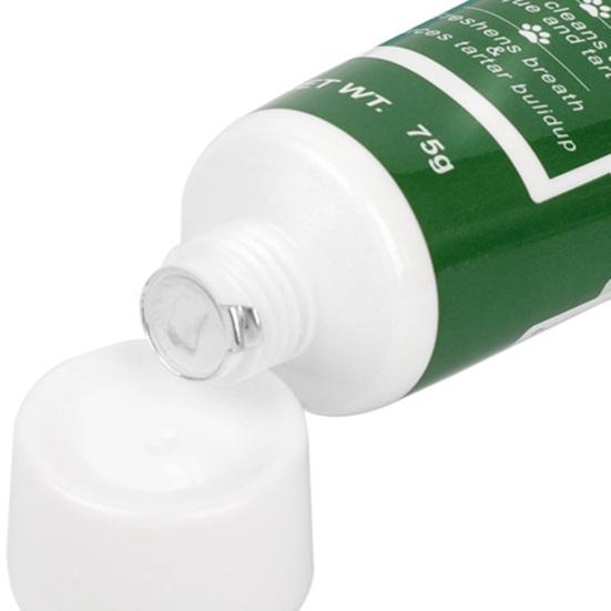 1 Set Pet Toothbrush Reduce Tartar Oral Cleaning Portable Pet Toothpaste Dog