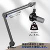 FIFINE BM63 Boom Arm Microphone Stand, Tabletop Microphone Stand for Live Streaming, Karaoke, Recording, Game Commentary, and Working from Home,