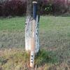 Kij baseballowy i softballowy z litego drewna bukowego: Pogrubione do użytku w nagłych wypadkach