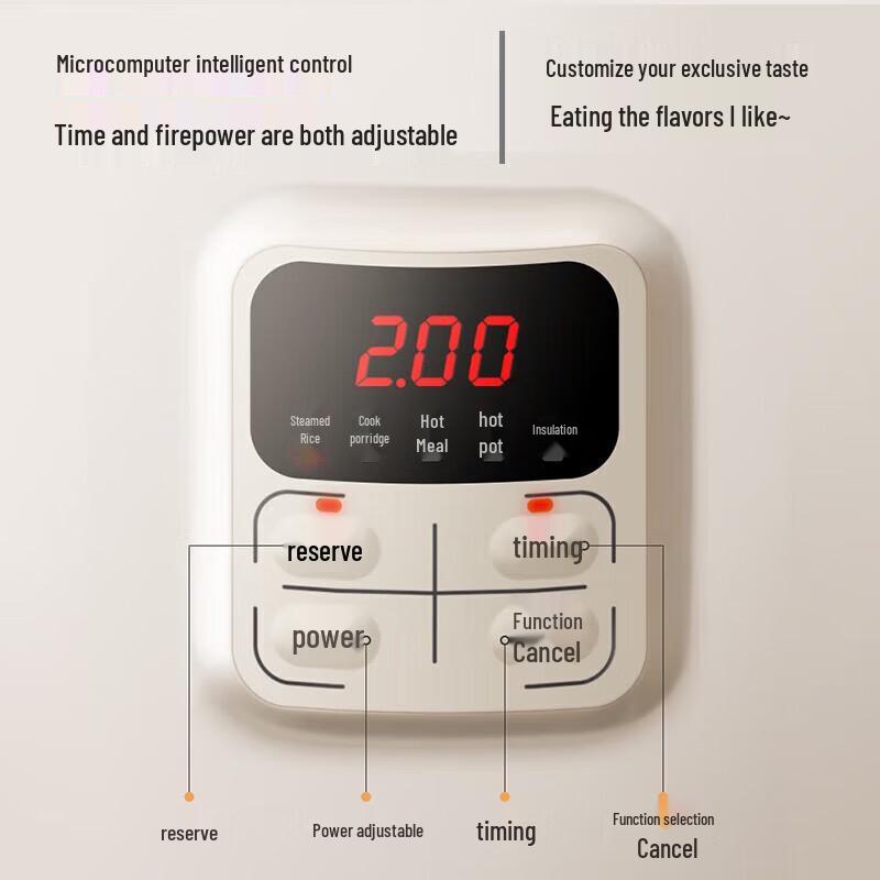 Bear Multi-functional Electric Lunch Box & Mini Cooker CN plug (adapter included)