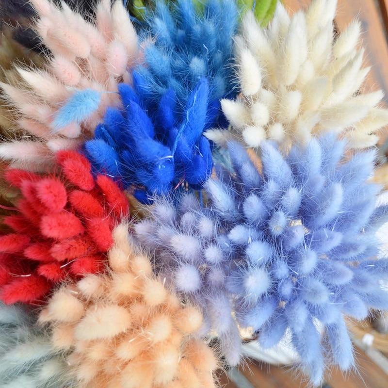 50pcs Dried Rabbit Tail Grass Flowers Artificial Plant Wedding Party
