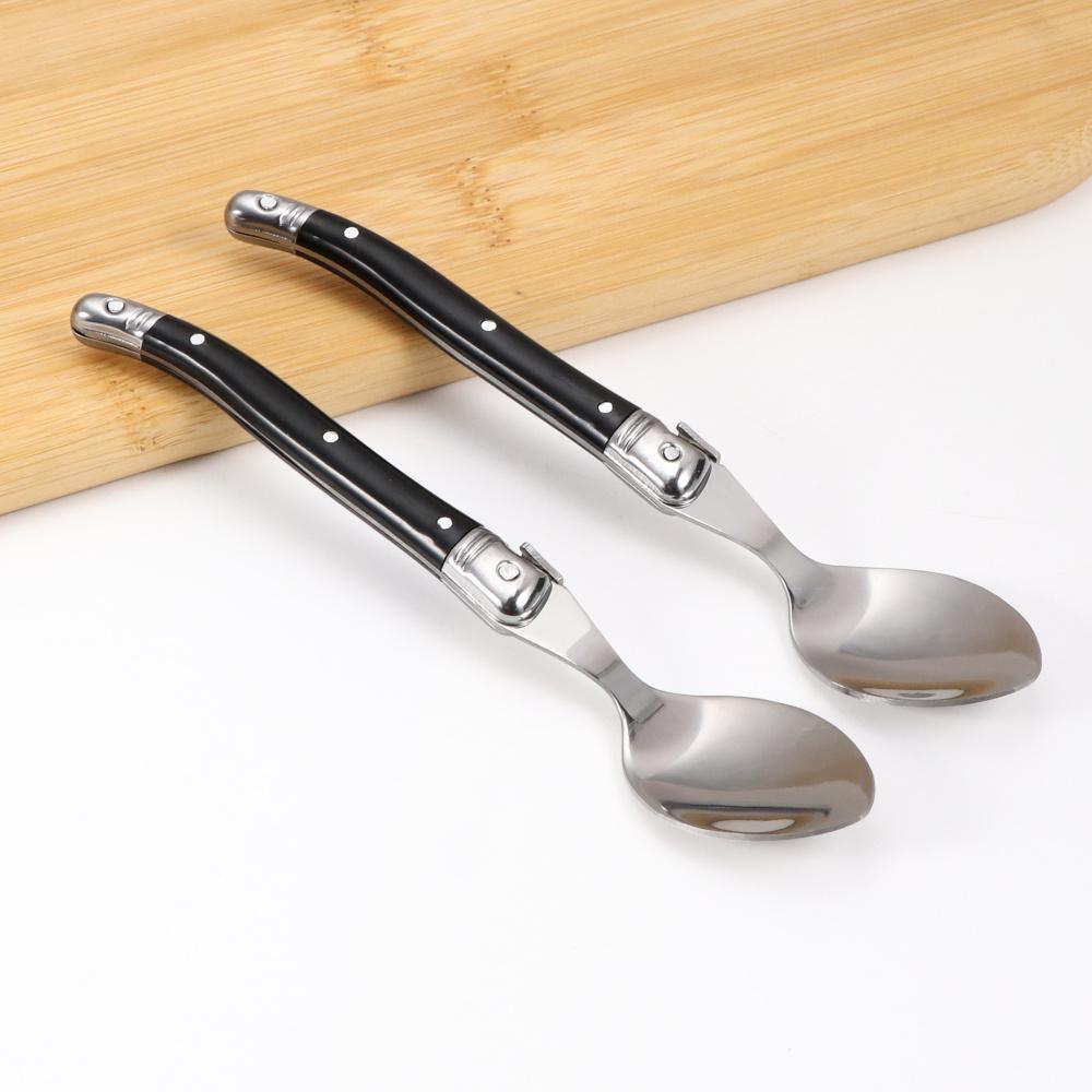 Jaswehome 6pcs Black Handle Laguiole Dinner Spoons Coffee Teaspoons Cutlery Dessert Fruit Mixing Ice Cream Spoon