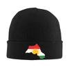 Kurdistan Flag Beanie Hats  Bonnet Hats Unisex Adult Cute Gym Knitting Hat Autumn Winter Design Warm Soft Caps