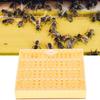 Plastic Bee King Incubator Free Move Harmless Breeding Box Beekeeper Beekeeping Tool