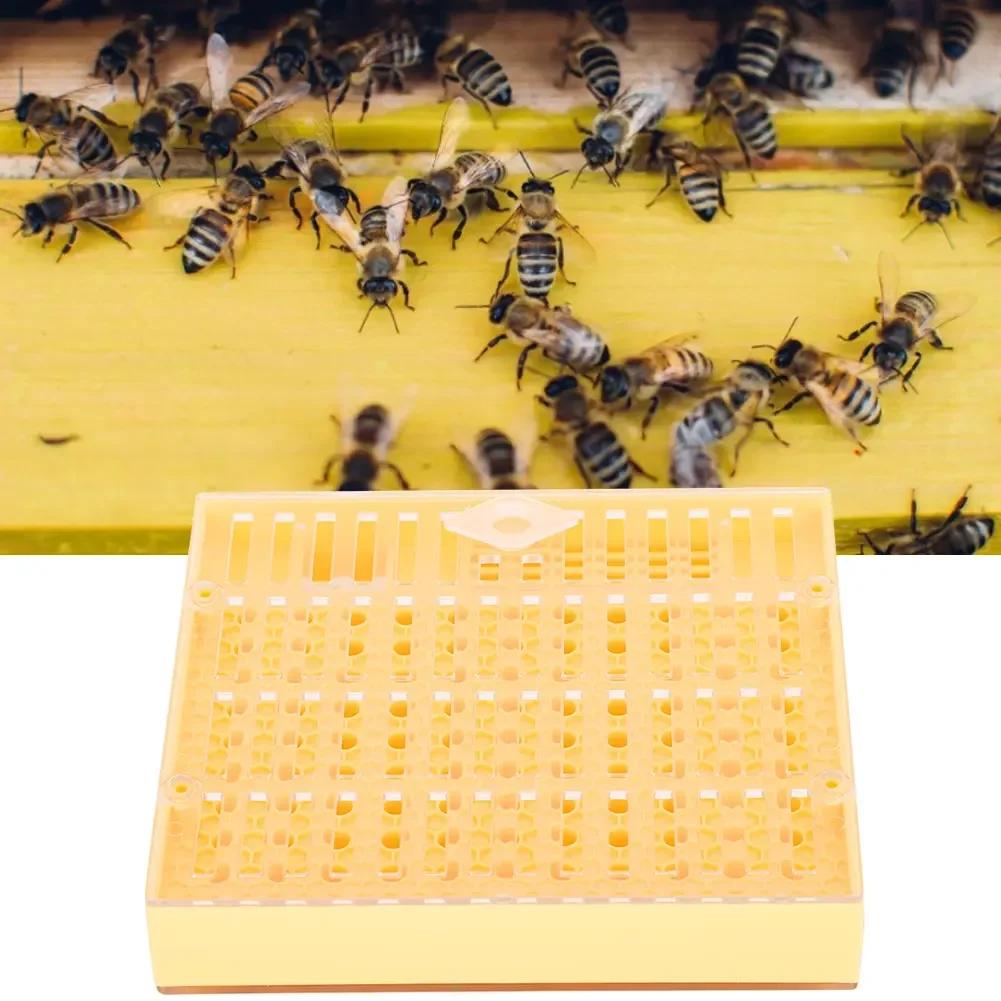 Plastic Bee King Incubator Free Move Harmless Breeding Box Beekeeper Beekeeping Tool
