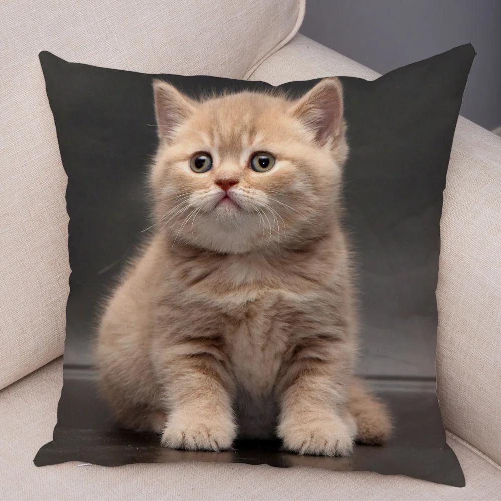 Russian Blue British Shorthair Cushion Cover Decor Cute Cat Pet Animal Pillowcase Soft Plush Pillow Case for Car Sofa Home