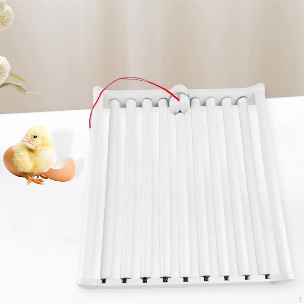 Güvercinler, Tavuklar, Hindiler ve Kazlar İçin 110V Otomatik Yumurta Kuluçka Makinesi.