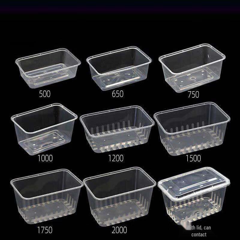 Dinu Disposable Rectangular Meal Prep Containers