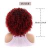 Curly Wigs for Women -Curly Wig with Bangs Natural Black Hair Synthetic Heat Resistant Full Wigs