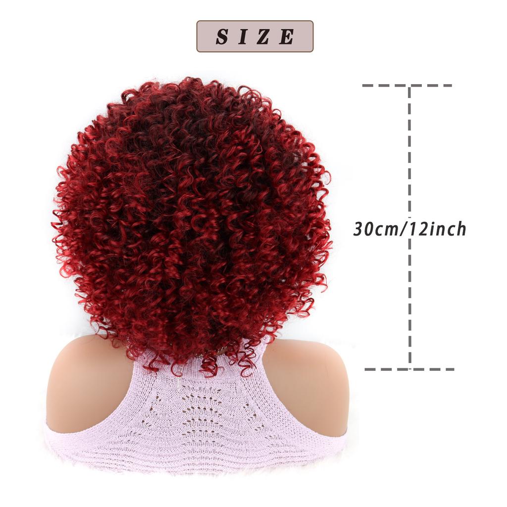 Curly Wigs for Women -Curly Wig with Bangs Natural Black Hair Synthetic Heat Resistant Full Wigs