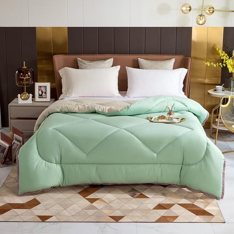 

Beyond Home Textile All-Season Soft Fiber Quilt