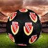 Energie Cottbus Logo Size 5 Soccer Ball, Machine-Stitched PVC, Durable & High Bounce, All Ages Fit, Fan Merchandise, Matches & Outdoor Use.