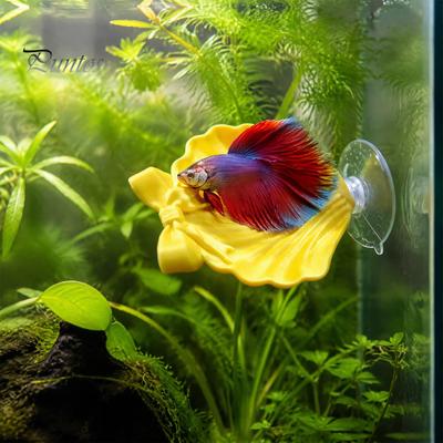 Shell Shape Fish Decor Betta Hammock Shell, Suction Cup with Bow Bed, Shallow Water Bed Resting Spot Bubble Nesting for Tank Safe