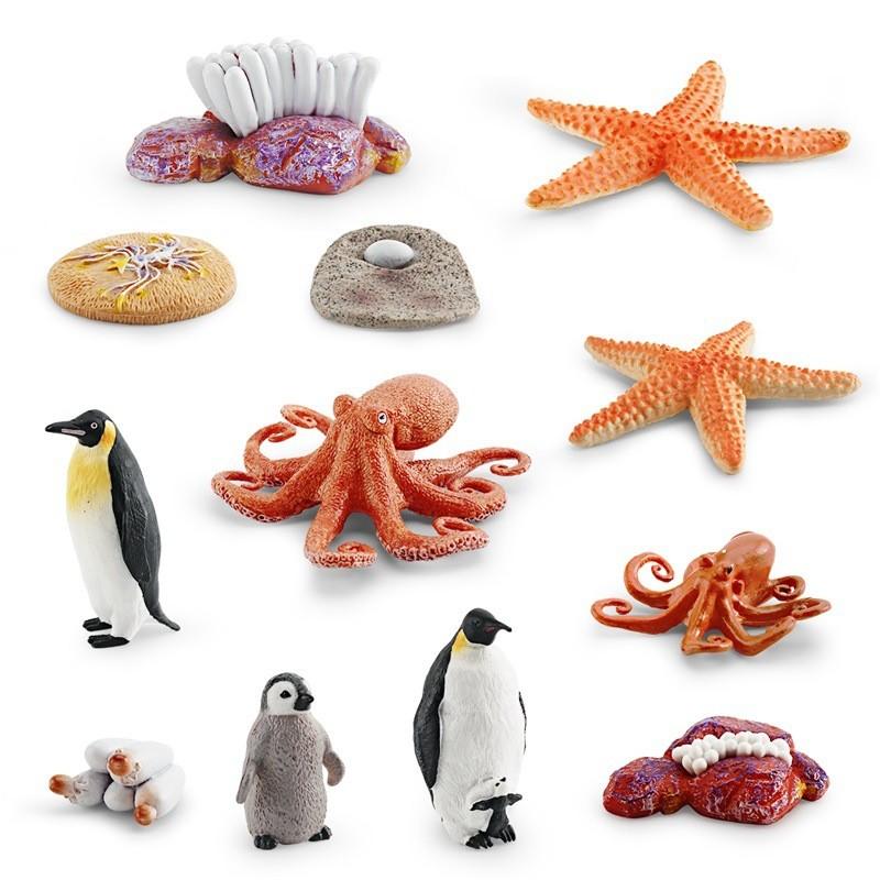 Realistic Ocean Animal Growth Cycle Model Set Featuring Octopus Penguin And Starfish