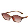 New Retro Oval Small Frame Fashionable Women's Glasses Fashionable High-end Casual Street Pography Glasses