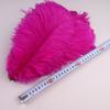 10Pcs 30-35cm Ostrich Feathers for Crafts Wedding Decoration 12-14" Handicraft Accessories Table Centerpieces Carnival Plumas